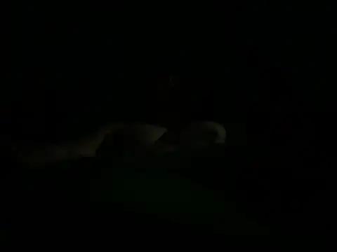 Snapshot of hunglikemeee chatting on April 16, 1:17 am hunglikemeee online show from April 16, 1:17 am