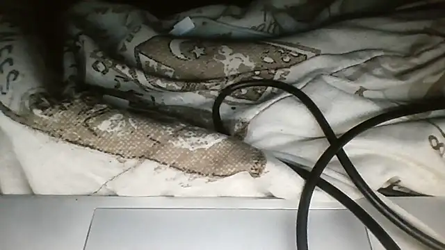 darkdadaaa online show from April 27, 8:23 am