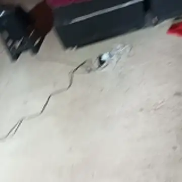  - - putinha -  online show from April 24, 11:23 am