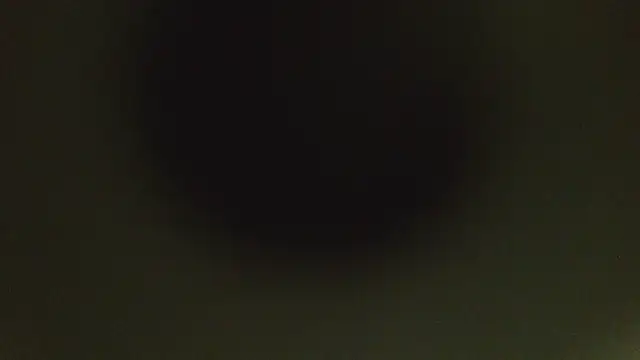 herpuppypeter online show from May 15, 1:45 am