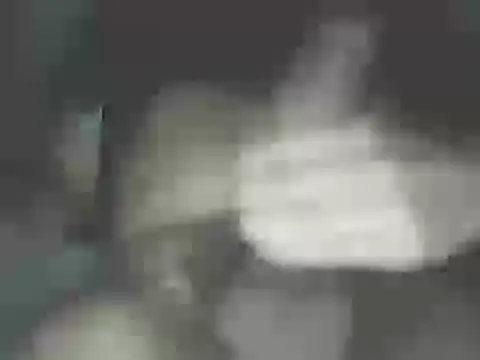 nicobboy22 online show from June 3, 4:15 am