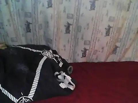 Snapshot of Buchi_sexylady chatting on June 19, 7:17 pm Buchi sexylady online show from June 19, 7:17 pm