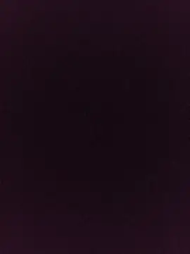 noirlynnexo online show from August 6, 8:44 pm
