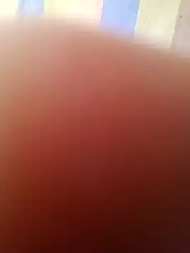 Snapshot of Nino_dolceeeee chatting on July 21, 7:16 pm Nino dolceeeee online show from July 21, 7:16 pm