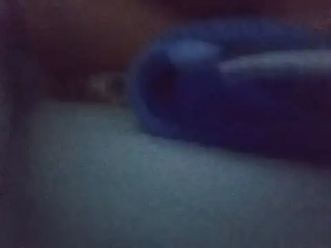 Chinitabella88 online show from August 3, 2:43 am