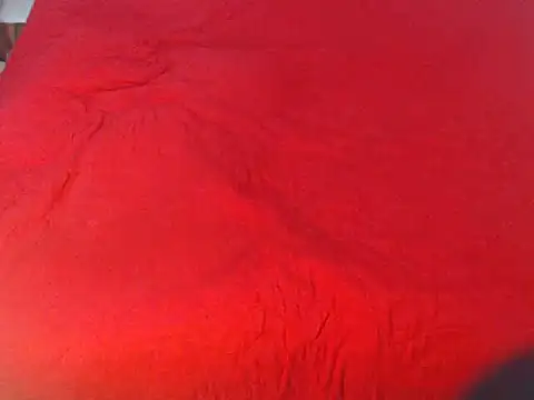 Snapshot of fabilinda1 chatting on March 12, 10:26 am fabilinda1 online show from March 12, 10:26 am