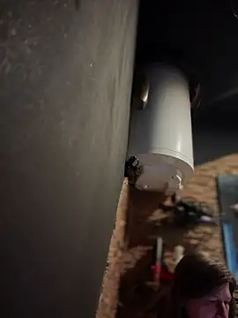 Natali UA online show from January 19, 7:45 am