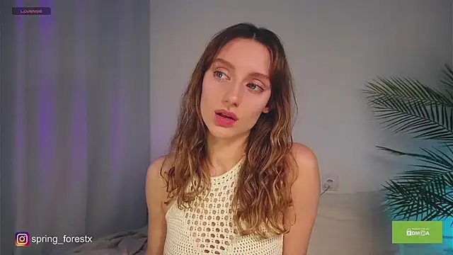 spring forest online show from November 17, 11:49 am