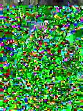 Snapshot of sissyvee chatting on January 15, 5:01 am sissyvee online show from January 15, 5:01 am