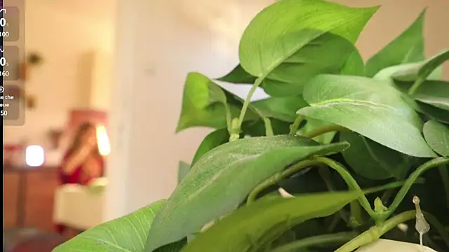 Snapshot of Kishaxxx chatting on March 6, 2:08 pm Kishaxxx online show from March 6, 2:08 pm