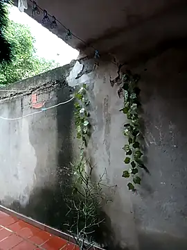 Camilatinass  online show from April 16, 11:55 am