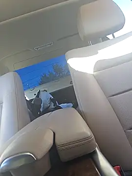 Snapshot of UncutHammer69 chatting on September 28, 4:12 pm UncutHammer69 online show from September 28, 4:12 pm