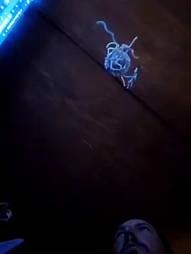 UncutHammer69 online show from April 9, 3:06 pm