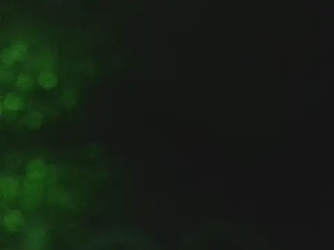 Snapshot of lonelycock33 chatting on November 7, 9:48 pm lonelycock33 online show from November 7, 9:48 pm