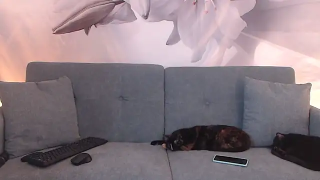 sofiasteven online show from March 13, 11:44 pm