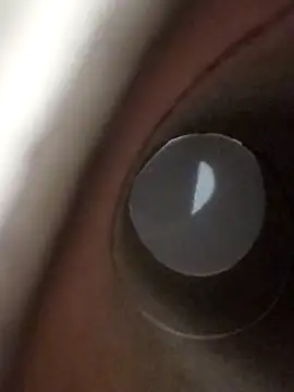 domjoab online show from January 17, 11:41 pm