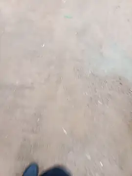 2soyte online show from January 18, 4:05 am