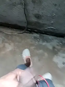 Bengali BULL1 online show from November 14, 4:49 pm