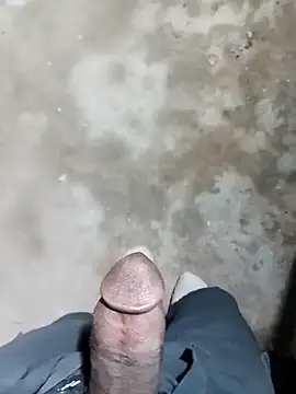 Bengali BULL1 online show from November 15, 6:26 pm