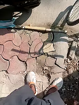 Bengali BULL1 online show from November 20, 4:56 am