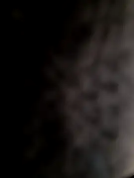 mogli444 online show from December 8, 1:03 pm