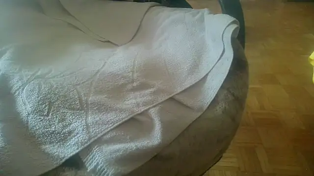 Snapshot of Python43 chatting on February 20, 8:39 am Python43 online show from February 20, 8:39 am