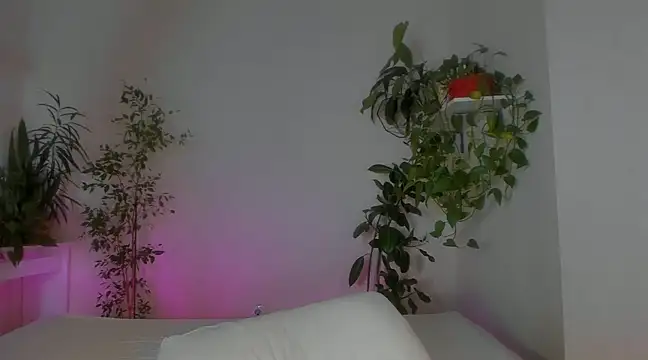 Snapshot of Masha_01 chatting on January 21, 1:39 am Masha 01 online show from January 21, 1:39 am