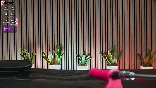 Snapshot of NiceHotJob chatting on February 3, 7:00 pm NiceHotJob online show from February 3, 7:00 pm