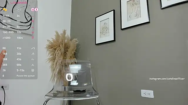 catalinaofficer online show from December 25, 7:24 pm