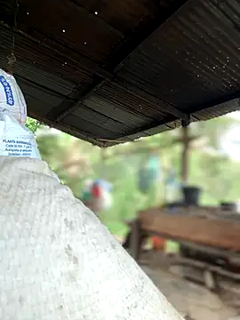 Ixchel Anaid online show from October 30, 2:18 pm