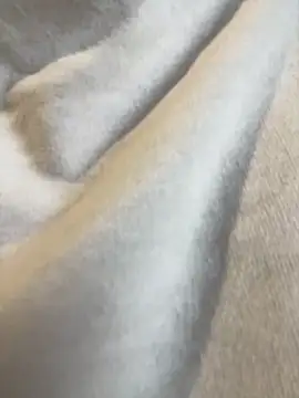 Snapshot of Aestheticsgirl chatting on March 3, 7:47 am Aestheticsgirl online show from March 3, 7:47 am