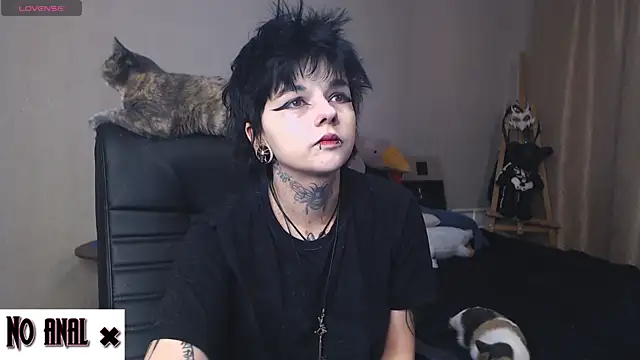 Dark  Elf online show from January 21, 10:41 pm