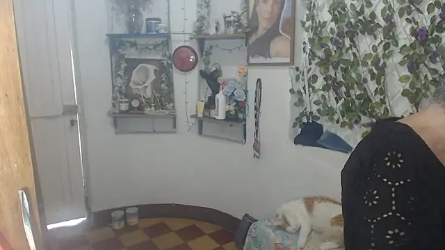 FunnyGrandma online show from July 12, 8:11 pm