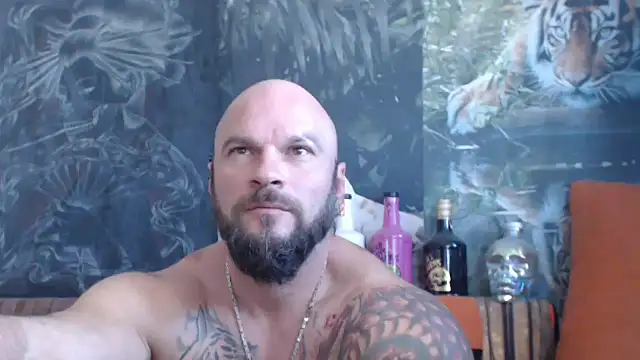 viking 30 online show from September 16, 6:47 am