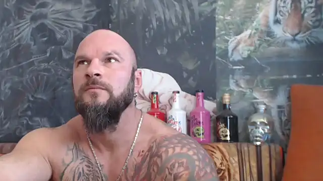 viking 30 online show from September 23, 10:29 am