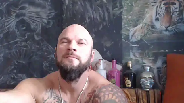 viking 30 online show from November 18, 7:46 am