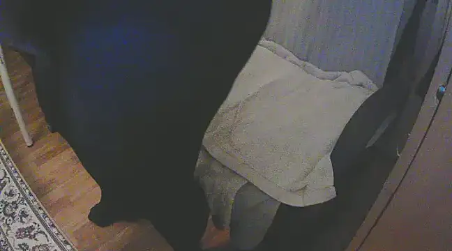 Snapshot of szadamo chatting on December 11, 4:53 pm szadamo online show from December 11, 4:53 pm