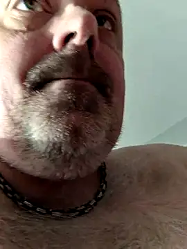 Bibear197511 online show from November 26, 12:17 pm