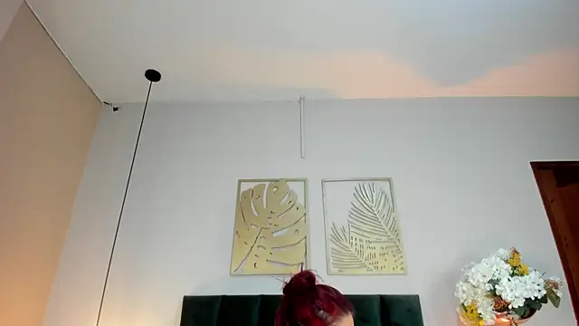 JupiteFox online show from June 27, 12:48 am