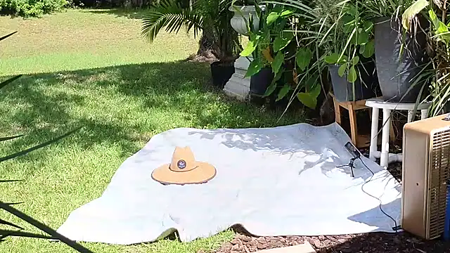 Snapshot of eliberator1777 chatting on September 21, 5:03 pm eliberator1777 online show from September 21, 5:03 pm