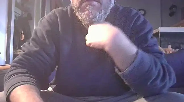 naked bear online show from January 22, 10:40 am