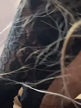 Snapshot of Littlebunny21 chatting on December 15, 10:26 pm Littlebunny21 online show from December 15, 10:26 pm