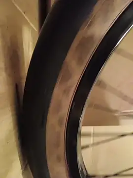 Snapshot of FireFox_Feel chatting on December 9, 3:29 am FireFox Feel online show from December 9, 3:29 am