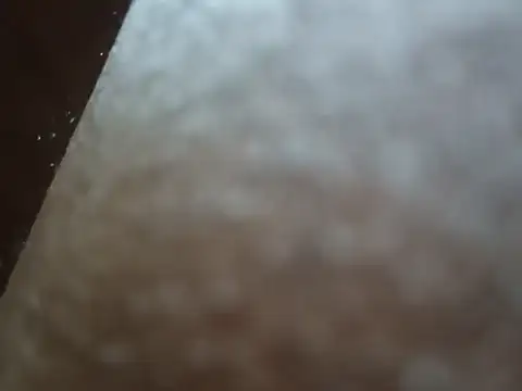 Snapshot of PrinceNoAlbert chatting on December 6, 3:33 pm PrinceNoAlbert online show from December 6, 3:33 pm