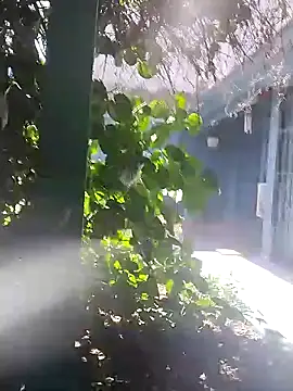 sofy alone online show from January 2, 5:39 pm