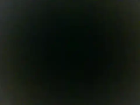 Snapshot of Insomniacl chatting on February 5, 6:13 am Insomniacl online show from February 5, 6:13 am