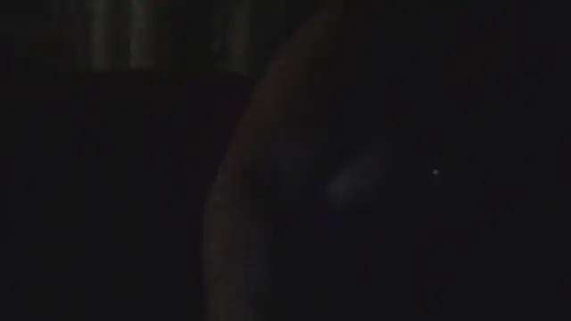 Dolcezza online show from November 24, 3:17 am