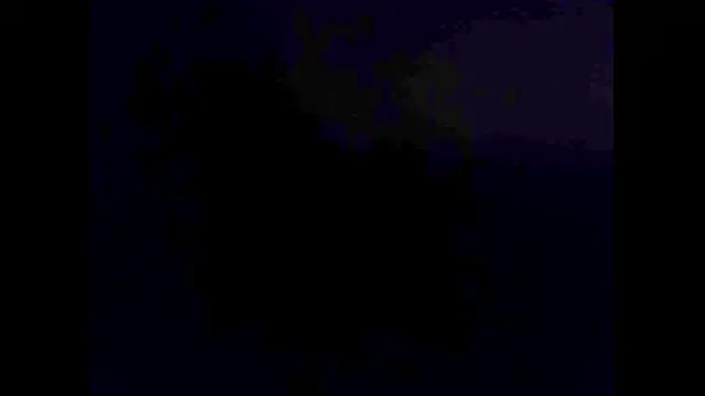 hairyuncut00 online show from November 2, 6:10 pm