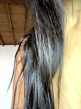 Snapshot of pleasureMyAss- chatting on January 17, 5:27 pm pleasureMyAss- online show from January 17, 5:27 pm