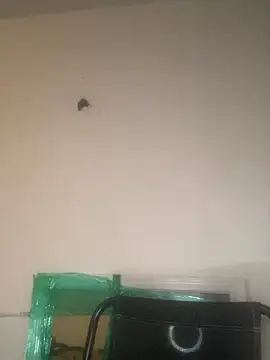 Foreignthababyy online show from January 13, 3:12 am